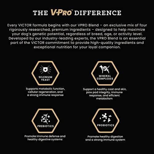 VICTOR Super Premium Dog Food – High Energy Dry Dog Food for Active Dogs – Gluten Free Canine Kibble with Beef and Chicken Meal Proteins for Sporting Dogs – All Breeds and All Life Stages, 40 lb