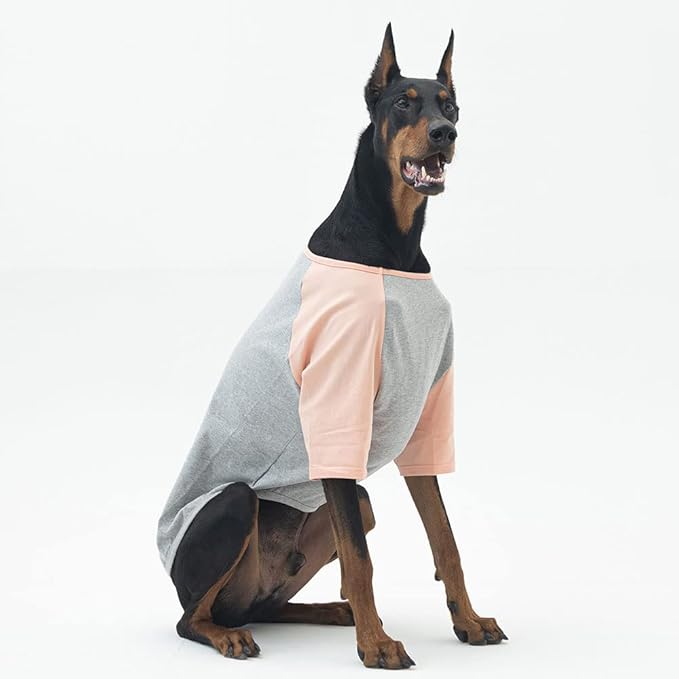 Dog Shirt for Small and Large Dogs Raglan Cotton T-Shirts Soft Breathable Dog Shirts pet Clothes Gray Series (X-Large, Gray/Peach)