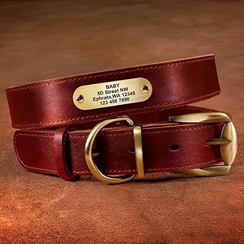 Didog Genuine Leather Dog Collars with Engraved Nameplate, Personalized Soft Leather Dog Collar with Custom ID Tag, Brown/Green/Red for Small Dogs (M,Red)