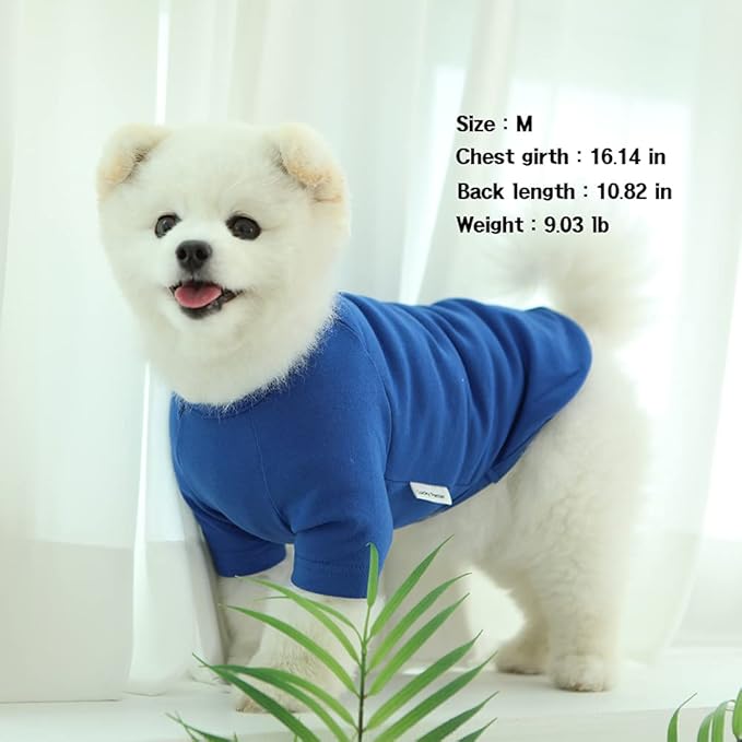 Dog Shirt for Small Dogs Plain T-Shirts Soft Breathable Dog Cotton Shirt pet Clothes (Small, Blue)