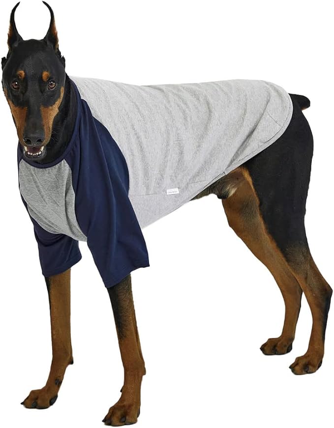 Dog Shirt for Small and Large Dogs Raglan Cotton T-Shirts Soft Breathable Dog Shirts pet Clothes Gray Series (2X-Large, Gray/Navy)