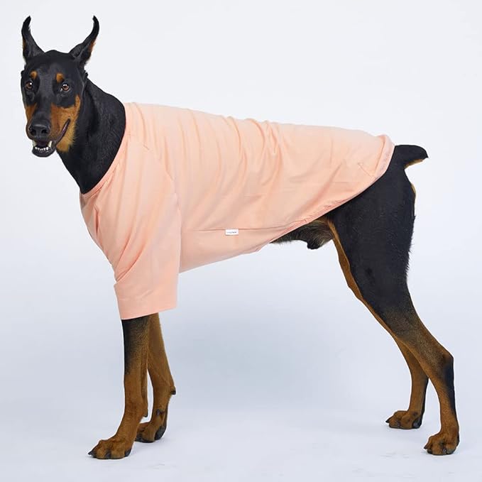 Dog Shirt for Small Dogs Plain T-Shirts Soft Breathable Dog Cotton Shirt pet Clothes (4X-Large, Peach)