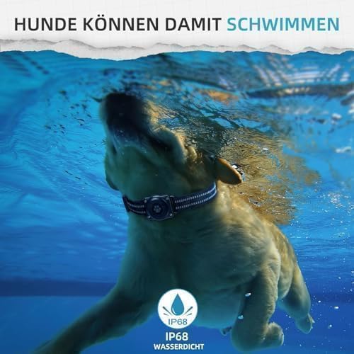 (1 Pack) GPS Tracker for Dogs, Mini GPS Cat Tracker, Smart Pet Activity Tracker (iOS Only), No Monthly Fee, Compatible with Apple Find My, Anti-Lost, Finder Tag for Vehicles/Pets/Kids/Items