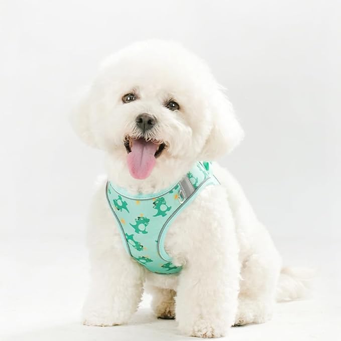 Step in Dog Harness and Leash Set, Flower Adjustable Easy Walk Puppy Harnesses, Soft Mesh No Pull Pet Vest Harness for Small Dogs and Cats(Green, XXS)