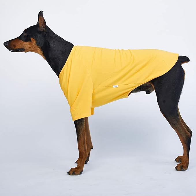 Dog Shirt for Small Dogs Plain T-Shirts Soft Breathable Dog Cotton Shirt pet Clothes (4X-Large, Yellow)