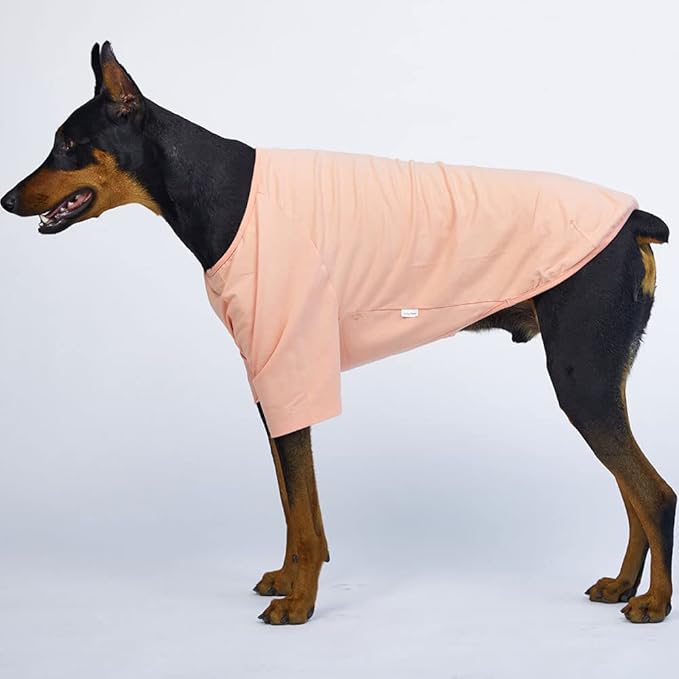 Dog Shirt for Small Dogs Plain T-Shirts Soft Breathable Dog Cotton Shirt pet Clothes (5X-Large, Peach)