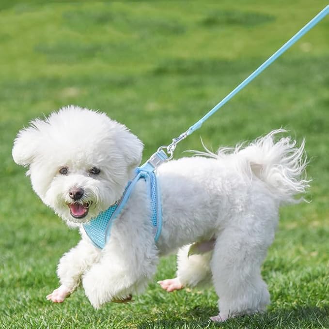 AIITLE Comfortable Dog Harness and Leash Set for Walking - Summer Step in Vest Harness,Reflective Bands, Adjustable No Pull Puppy Essentials, for Small Dogs and House Cats Pure Blue XS