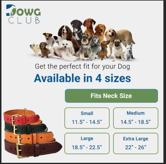 Leather Dog Collar for Medium Dogs, Tan, 1 Inch Wide, Genuine Full Grain Leather, Heavy Duty with Soft Inner Padding, Comfortable and Durable (Medium (Fit Neck Size 14.5"-18.5"), Tan)