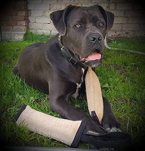 Dingo Gear Tug Toy for Dog Training Agility Tug of War, Jute Dog Bumper with one Handle, Dog Bite Pillow for Aggressive Chewers, 11" S00145