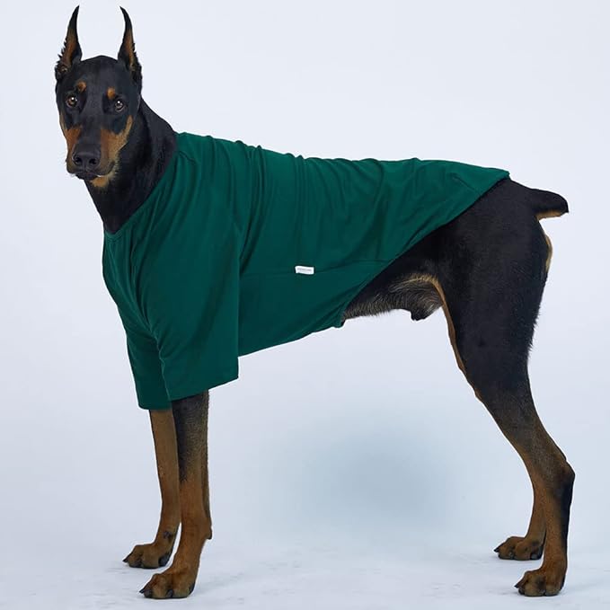Dog Shirt for Small Dogs Plain T-Shirts Soft Breathable Dog Cotton Shirt pet Clothes (2X-Large, Green)