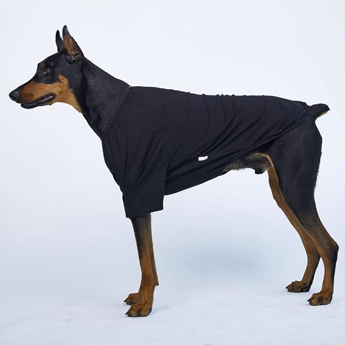 Dog Shirt for Small Dogs Plain T-Shirts Soft Breathable Dog Cotton Shirt pet Clothes (2X-Large, Black)