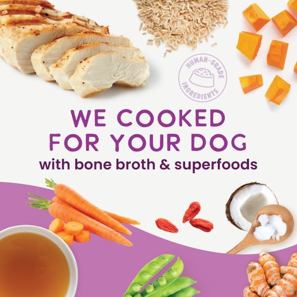 Health Extension Gently Cooked Chicken & Pumpkin Dog Food, Human-Grade & Shelf-Stable with Superfoods, Supports Digestion, Immunity, Skin & Coat, 9 oz Pouch (Pack of 5)