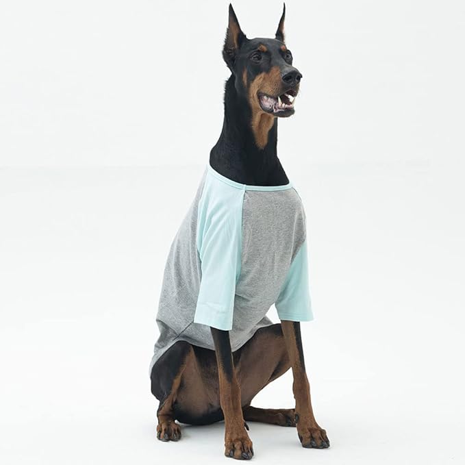 Dog Shirt for Small and Large Dogs Raglan Cotton T-Shirts Soft Breathable Dog Shirts pet Clothes Gray Series (5X-Large, Gray/Mint)