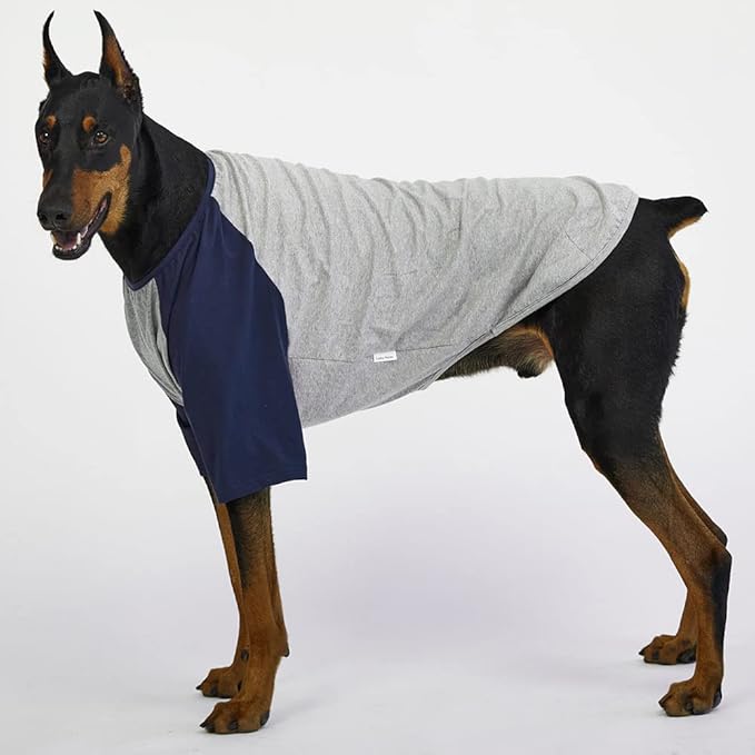 Dog Shirt for Large Dogs, Gray/Navy, X-Large, Cotton, Breathable, Lightweight, Raglan, Round Neck