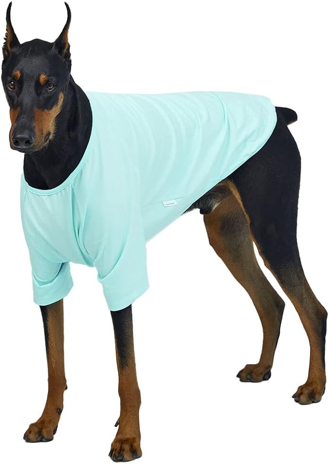 Dog Shirt for Small Dogs Plain T-Shirts Soft Breathable Dog Cotton Shirt pet Clothes (4X-Large, Mint)