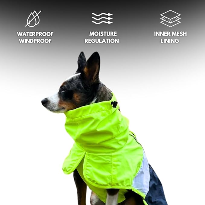 Spark Paws Dog Raincoat, Waterproof Windproof Rain Jacket, for Small Medium Large Extra Large Dogs, Reflective Breathable Full-Body Coverage Dry Suit - Neon White Navy Blue, S