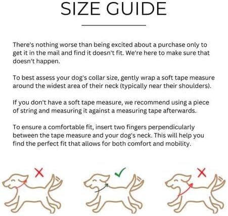 Two Tails Pet Company Cactus Vegan Leather Dog Collar, Adjustable Pet Collar with Gold Hardware and D Rings for Leash & ID Tag for Dogs and Puppies, Easy to Clean & Eco Friendly, Caramel, Size Medium