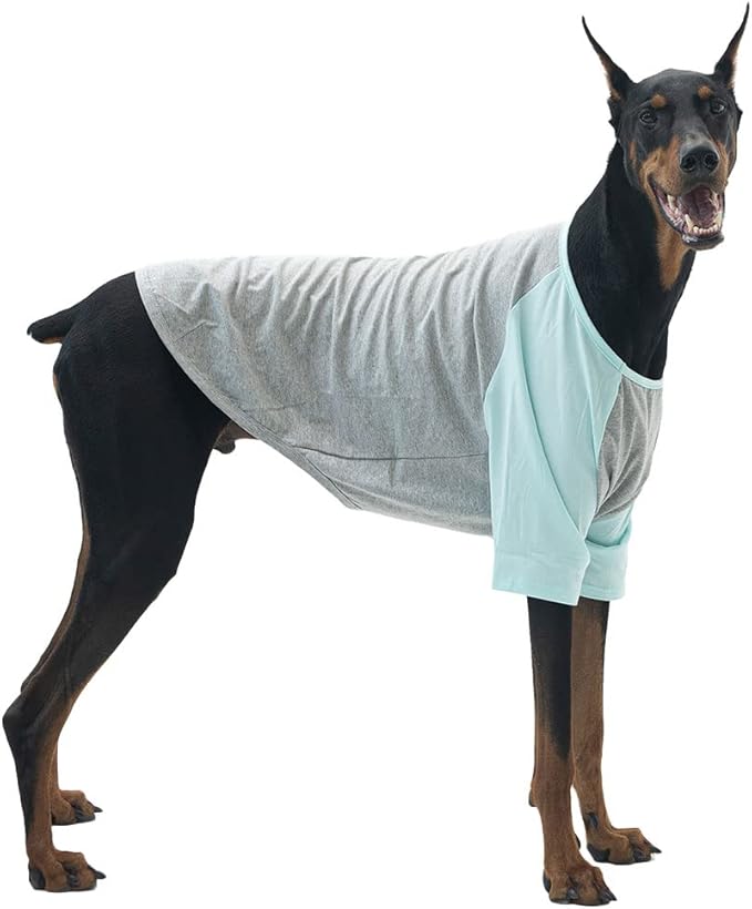 Dog Shirt for Small and Large Dogs Raglan Cotton T-Shirts Soft Breathable Dog Shirts pet Clothes Gray Series (3X-Large, Gray/Mint)