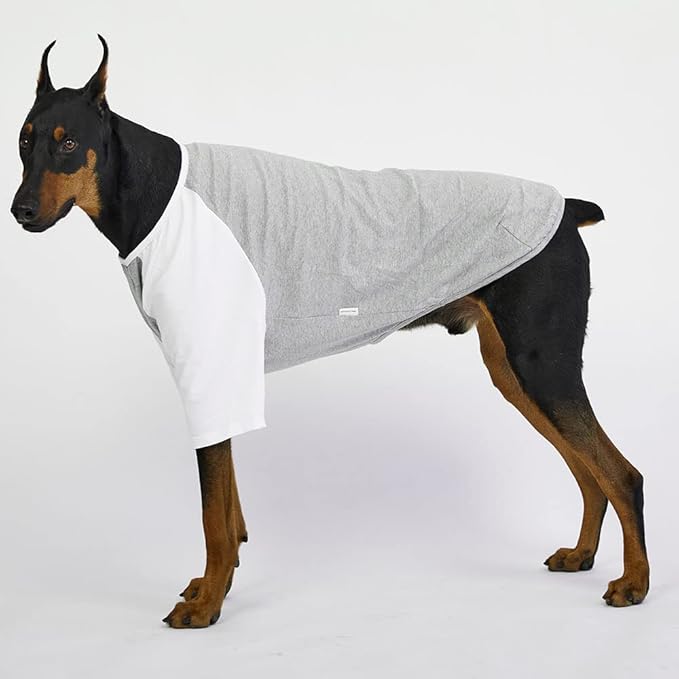 Dog Shirt for Small and Large Dogs Raglan Cotton T-Shirts Soft Breathable Dog Shirts pet Clothes Gray Series (2X-Large, Gray/White)