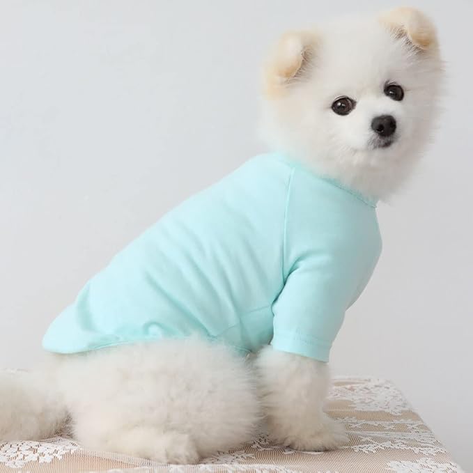 Dog Shirt for Small Dogs Plain T-Shirts Soft Breathable Dog Cotton Shirt pet Clothes (X-Small, Mint)
