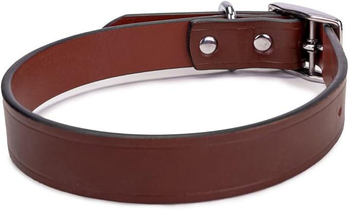 King Buck Leather Dog Collar with D Ring, Leather, Large