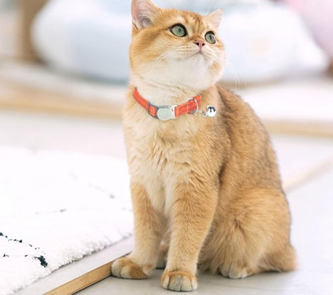 Teal Cat Collars with Bell, Reflective Soft Nylon Breakaway Kitten Collar with Bells, Break Away Puppy Collars for Xs Small Boy Male Dogs, Neck 7-11 Inch