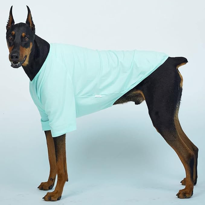 Dog Shirt for Small Dogs Plain T-Shirts Soft Breathable Dog Cotton Shirt pet Clothes (5X-Large, Mint)