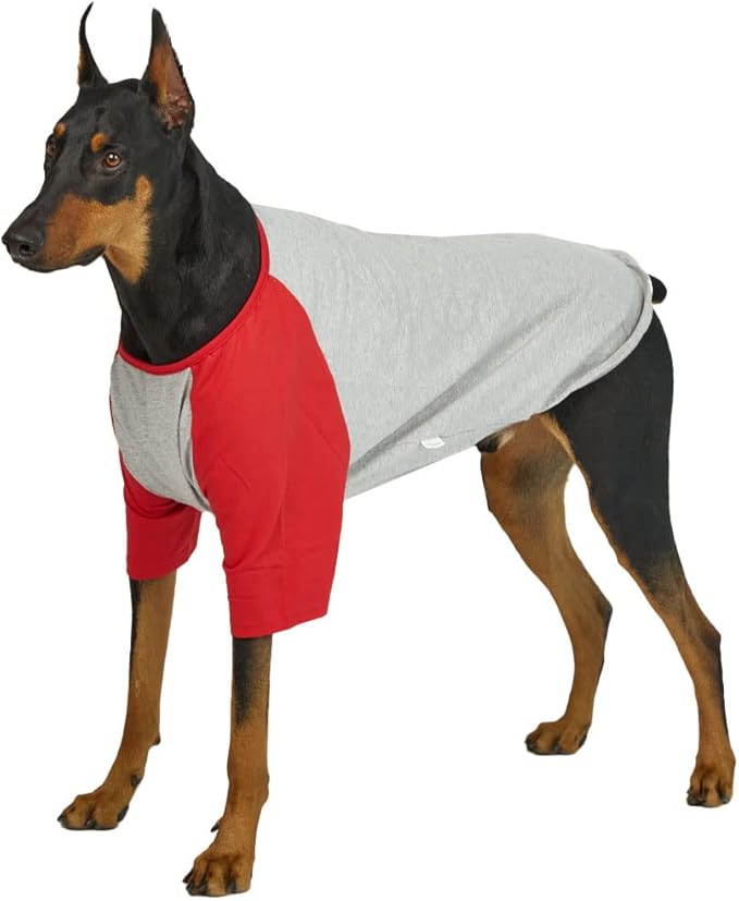Dog Shirt for Small and Large Dogs Raglan Cotton T-Shirts Soft Breathable Dog Shirts pet Clothes Gray Series (3X-Large, Gray/Red)