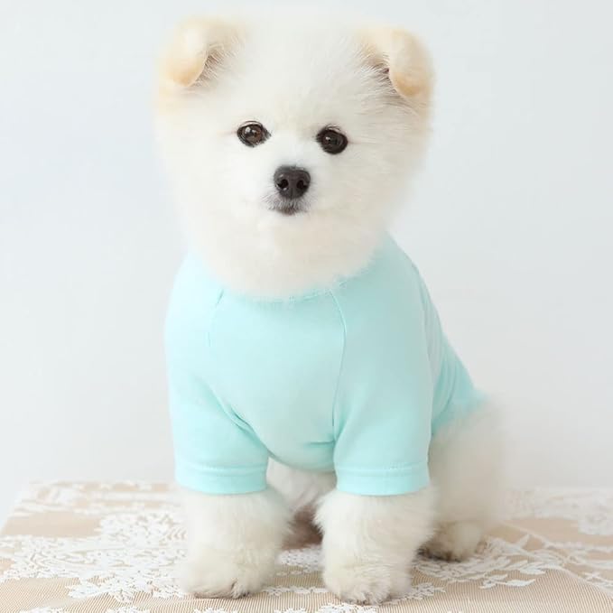 Dog Shirt for Small Dogs Plain T-Shirts Soft Breathable Dog Cotton Shirt pet Clothes (Small, Mint)