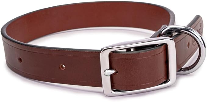 King Buck Leather Dog Collar with D Ring, Leather, Meduim