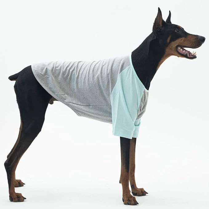 Dog Shirt for Small and Large Dogs Raglan Cotton T-Shirts Soft Breathable Dog Shirts pet Clothes Gray Series (3X-Large, Gray/Mint)