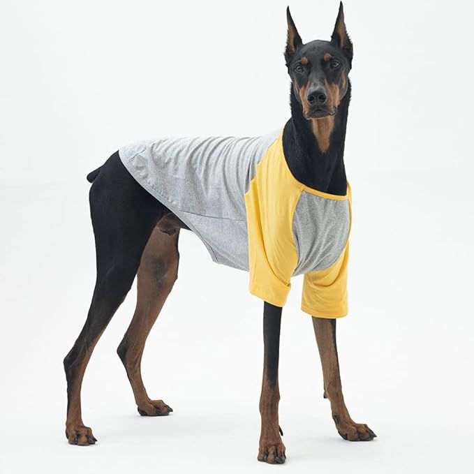 Dog Shirt for Small and Large Dogs Raglan Cotton T-Shirts Soft Breathable Dog Shirts pet Clothes Gray Series (2X-Large, Gray/Yellow)