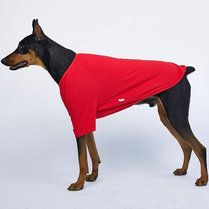 Dog Shirt for Small Dogs Plain T-Shirts Soft Breathable Dog Cotton Shirt pet Clothes (2X-Large, Red)