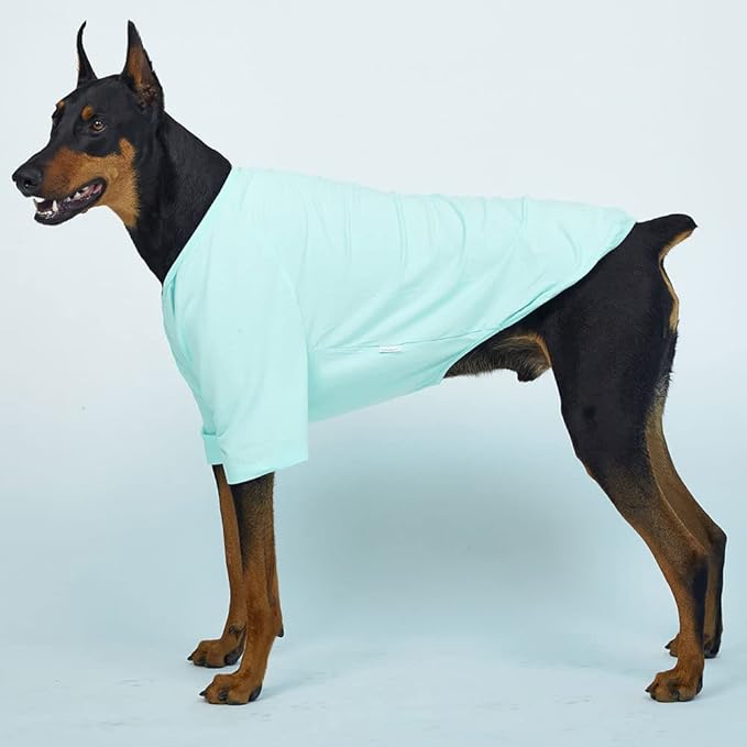 Dog Shirt for Small Dogs Plain T-Shirts Soft Breathable Dog Cotton Shirt pet Clothes (X-Large, Mint)