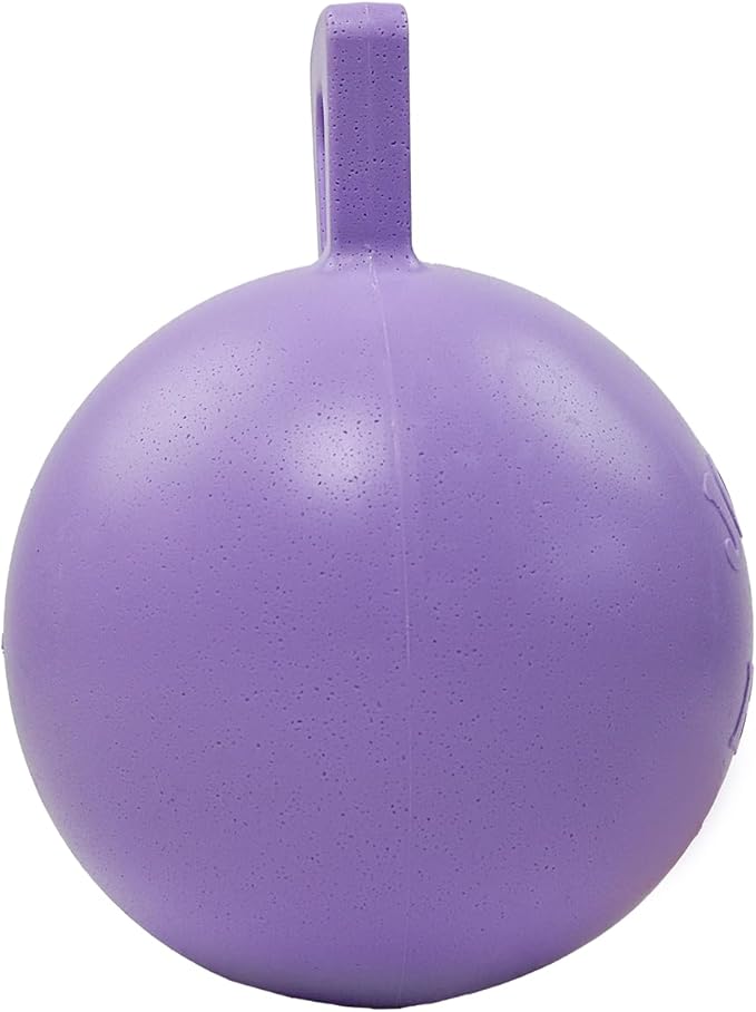 Jolly Pets Tug-n-Toss Heavy Duty Dog Toy Ball with Handle, 10 Inches/X-Large, Light Purple
