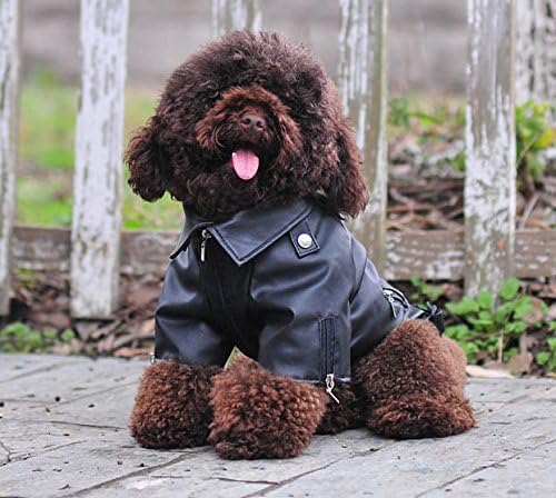 Lovelonglong Cool Dog Leather Jacket, Warm Coats Dogs Windproof Cold Weather Coats for Pugs Bulldog Pitbull Black B-S
