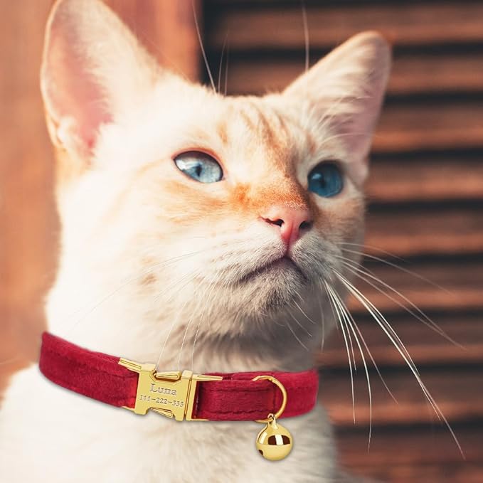 Personalized Cat Collar with Name Plate,Adjustable Tough Nylon Cat ID Collars with Bell,Customize Engraved Pet Name and Phone Number (Velvet Style D)