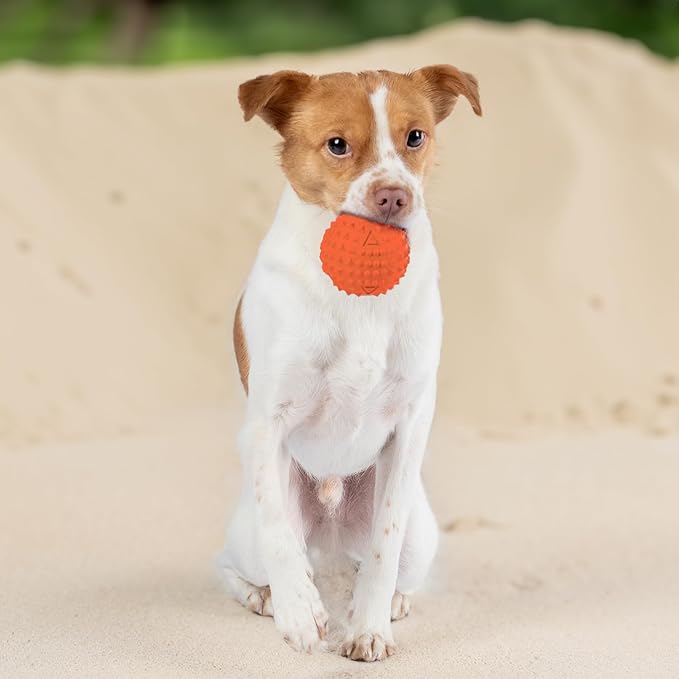 Best Pet Supplies Squeaky Dog Toys with Soft Durable Fabric for Small, Medium and Large Pets Interactive Toy for Indoor Play, Supports Active Biting and Play - Orange (L:3.5")