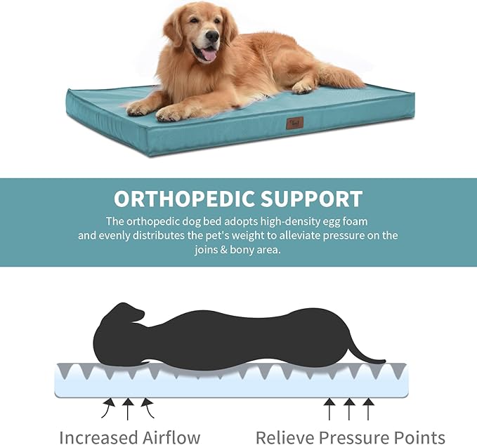 Outdoor Orthopedic Dog Bed for Medium Dogs & Cats, Waterproof Flat Pet Mat with Egg Crate Foam & Washable Removable Oxford Cover, 30x20 Inch, Light Blue