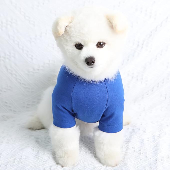 Dog Shirt for Small Dogs Plain T-Shirts Soft Breathable Dog Cotton Shirt pet Clothes (Large, Blue)