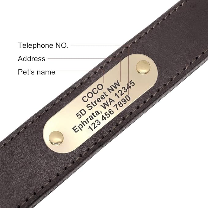 Didog Genuine Leather Dog Collars with Engraved Nameplate, Personalized Soft Leather Dog Collar with Custom ID Tag, Brown/Green/Red for Medium Large Dogs (L,Brown)