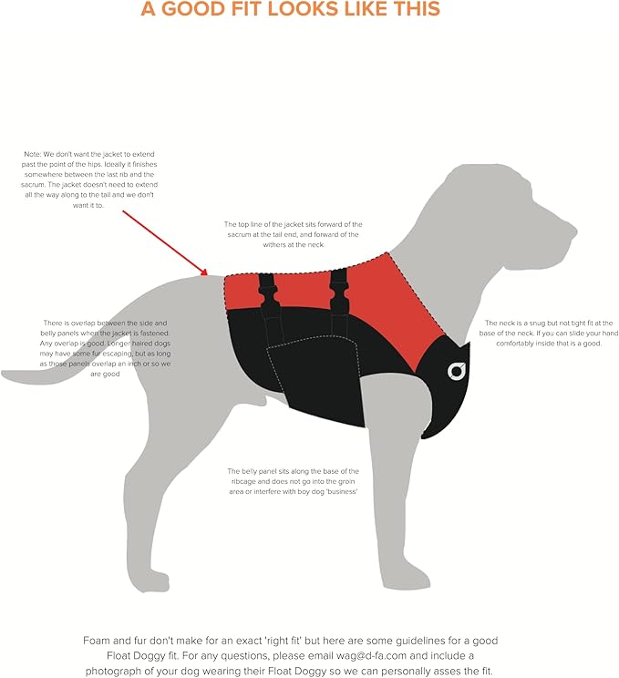 Stunt Puppy Float Doggy Life Jacket, Ergonomic Dog Life Vest for Swimming, Patented Design for Secure Fit, Large, Mango
