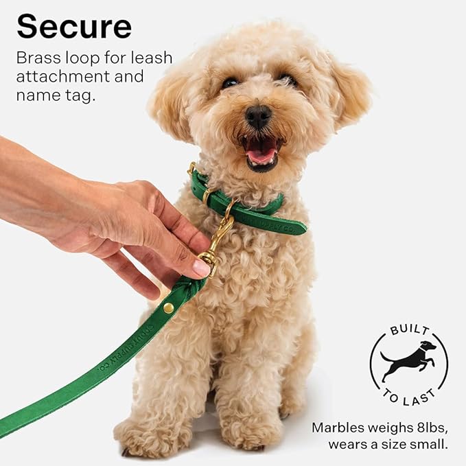 Scout Supply Classic Leather Dog Collar | Heavy Duty Thick Full Grain Leather | Waterproof & Rust-Proof Brass Hardware (Green, X Large)