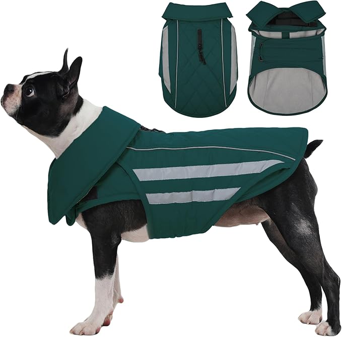 IECOii Dog Coat - Waterproof, Windproof Winter Coats for Light Rain & Snow Cold Weather, Reflective & Adjustable, Warm Fleece Lined, Dachshund, Green, Size M