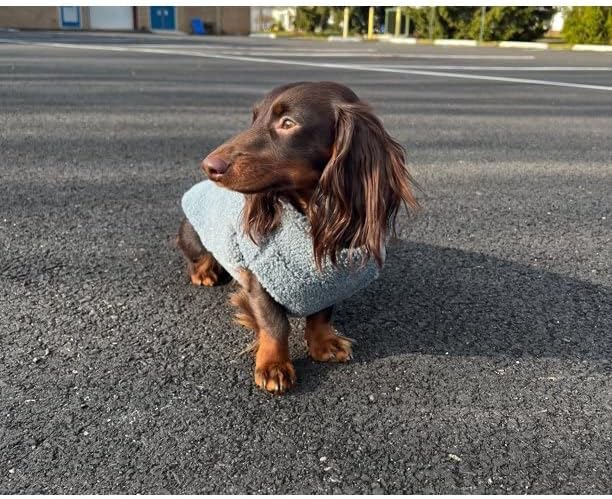 Gooby Sherpa Vest Dog Sweater - Stone Blue, X-Large - Warm Fuzzy Fleece Step-in Jacket Without Ring Leash - for Small and Medium Dogs, Everyday Winter Use