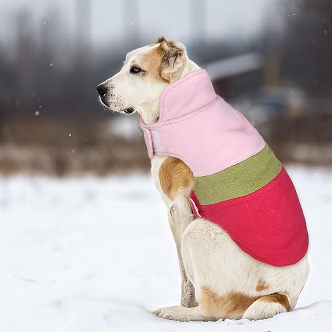 ASENKU Dog Jacket Plaid Reversible Reversible Dog Vest Waterproof Cold Winter Clothes Pet Apparel for Small Medium Large Dogs (M, Colorful)