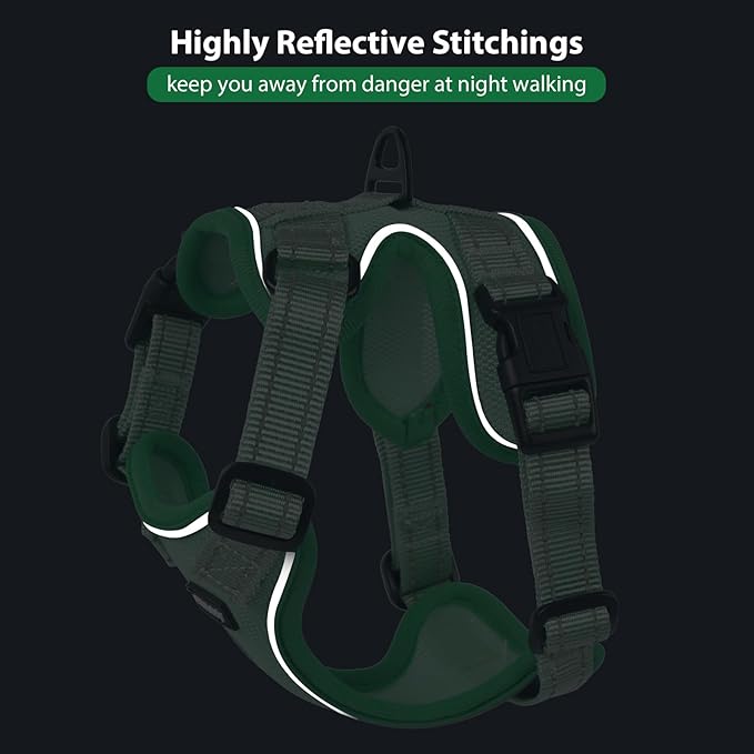 Rttochfy Cat Harness and Leash Set, Adjustable and Reflective Cat Vest, Escape Proof Kitten Harness, Easy to Put on with 3 Buckles for Cats Walking and Traveling (Green, L)