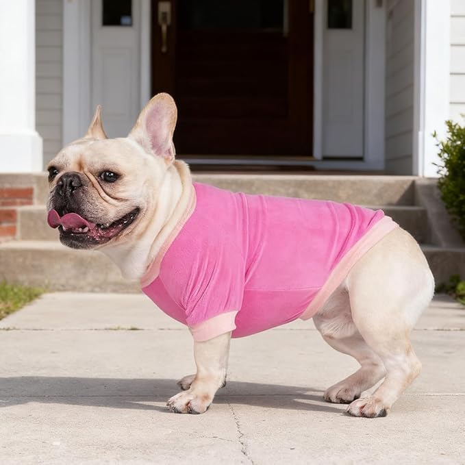 GreenJoy Classic Fleece Dog Sweater – Soft & Warm Stretchy Sweatshirt for Small Dogs & Cats, Cold-Weather Pullover for Everyday Wear (Dark Pink, X-Small)