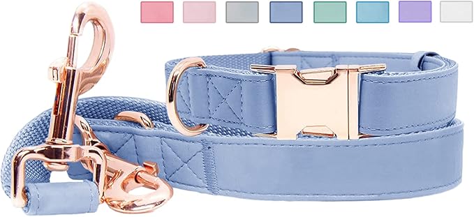 Soft Leather Dog Collar and Leash (6.6') Set - Stylish Rose Gold Heavy Duty Metal Buckle, 4 Adjustable Lengths Leash for Small Medium Large Dogs - Comfortable & Easy to Clean BluePurple L(15.4"-24.8")