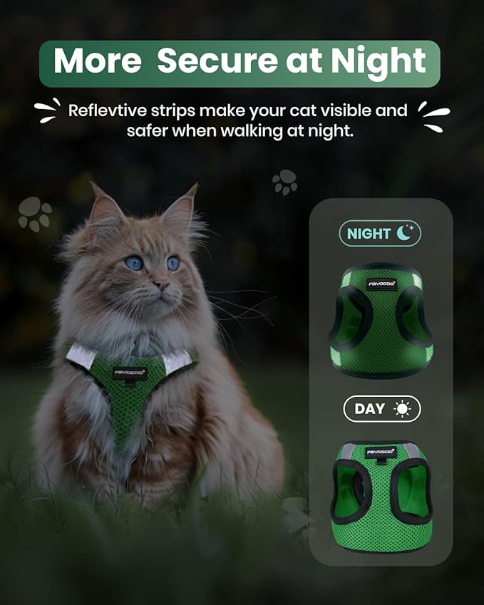 FAYOGOO Cat Harness, Cat Leash and Harness Set for Walking Escape Proof, Harness for Small Cats/Small Dogs, Large Kitten/Puppy Harness and Leash, Harness for Cats S-XXL(Neon Green, XX-Large)